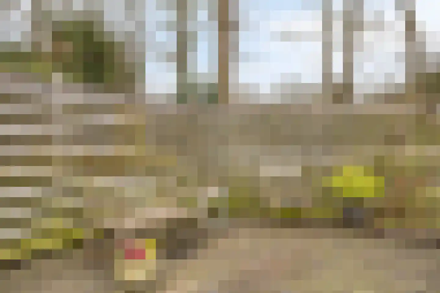 Sprikkenveen 19 Vries thumbnail 48