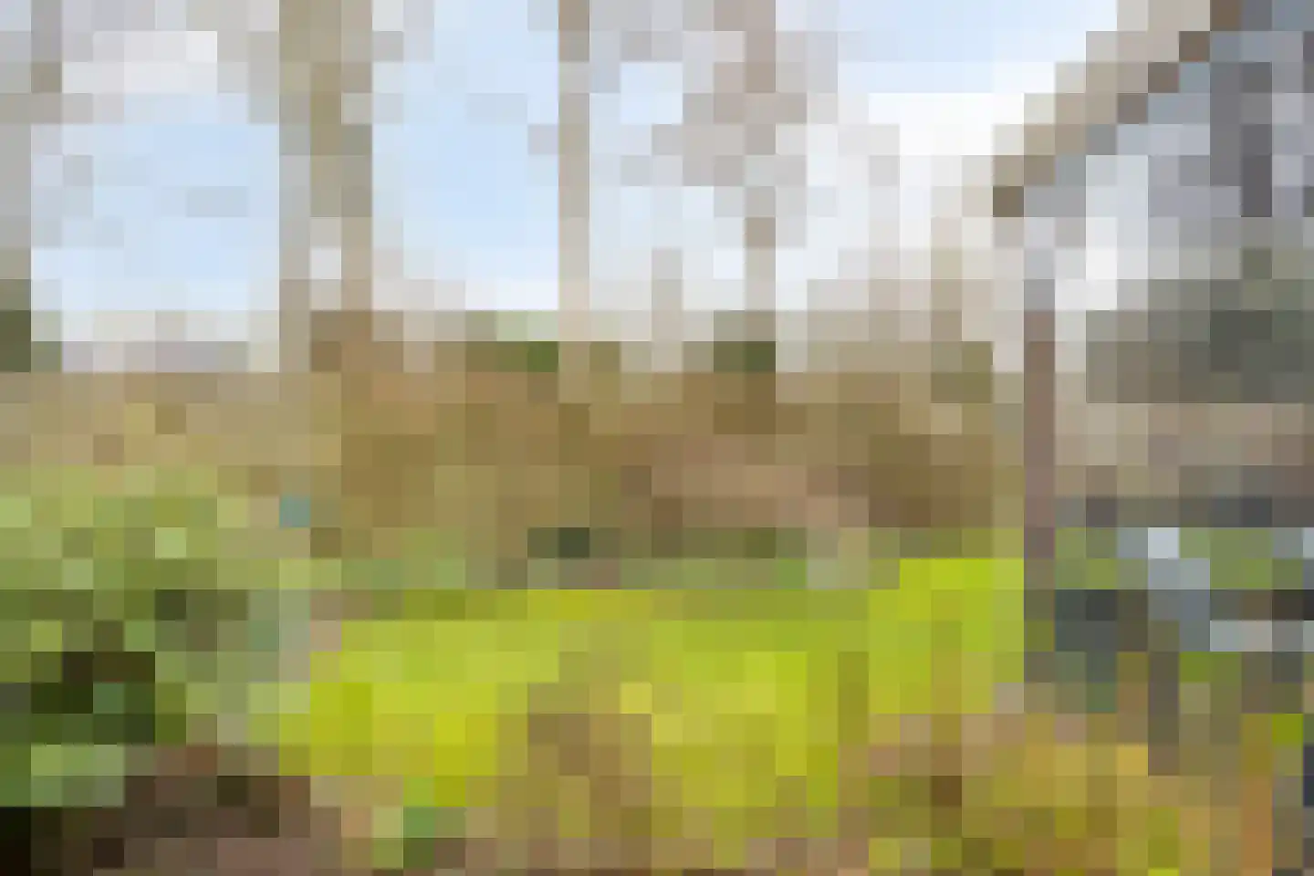 Sprikkenveen 19 Vries thumbnail 50