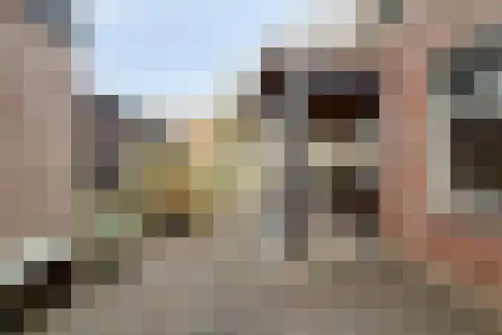 Sprikkenveen 19 Vries thumbnail 52