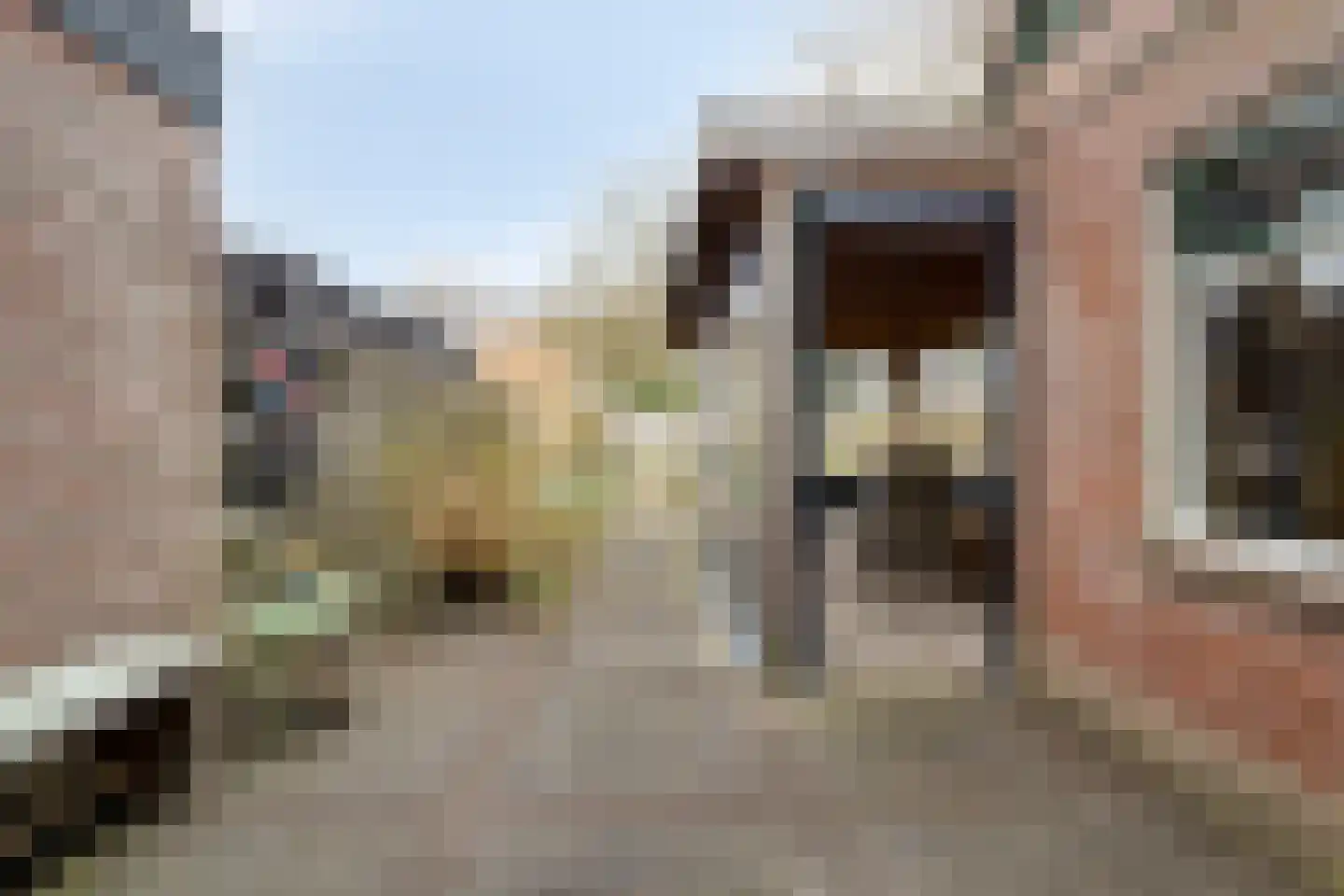 Sprikkenveen 19 Vries thumbnail 52