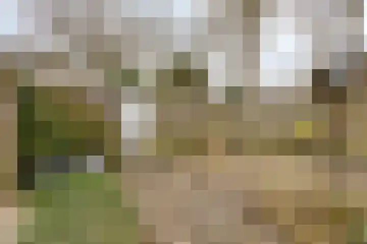 Sprikkenveen 19 Vries thumbnail 56