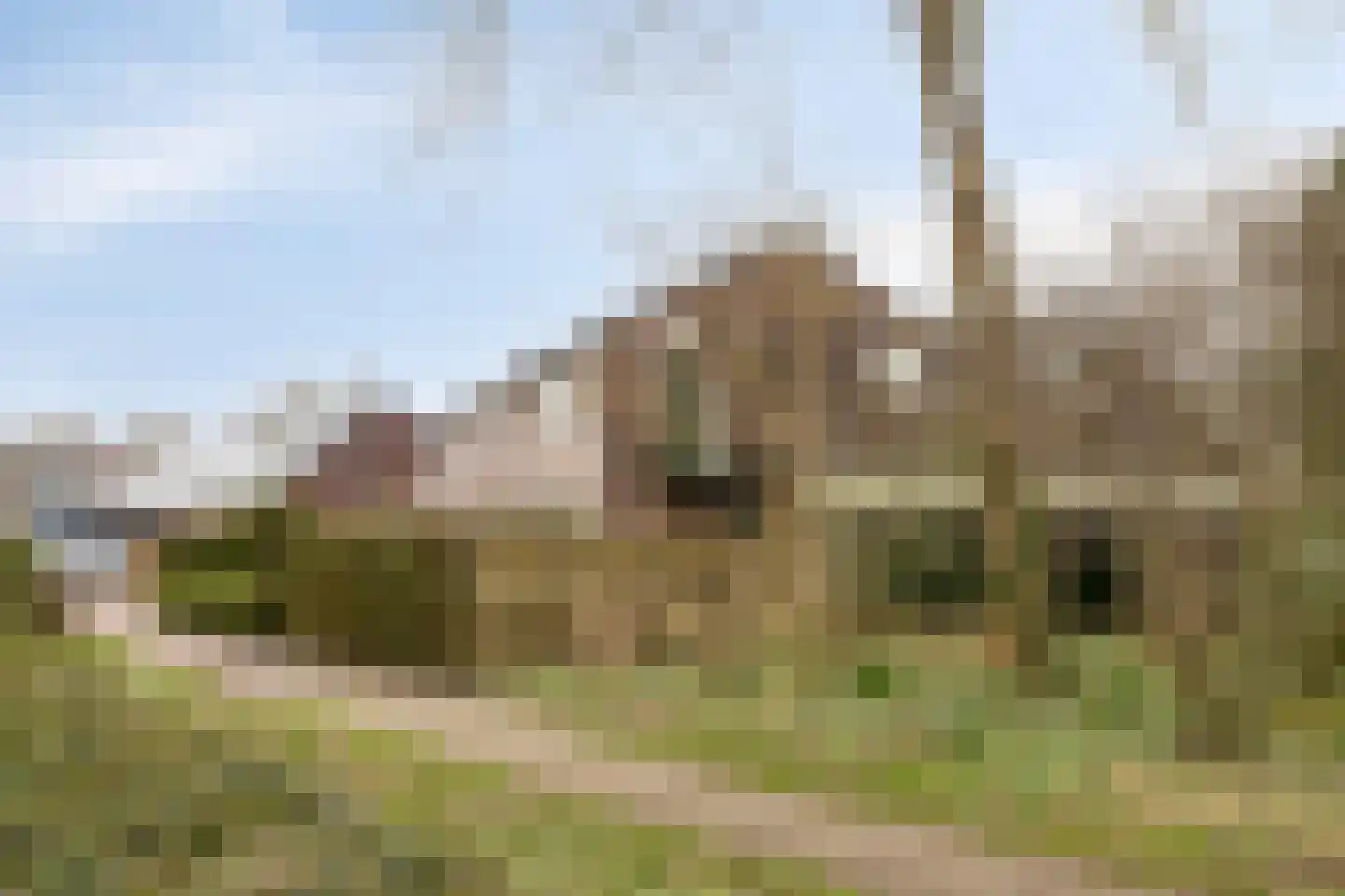 Sprikkenveen 19 Vries thumbnail 57