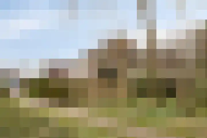 Sprikkenveen 19 Vries thumbnail 57