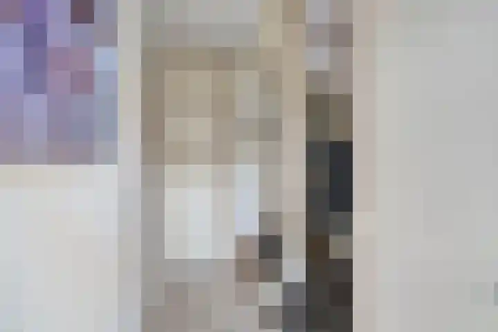 Sprikkenveen 19 Vries thumbnail 6