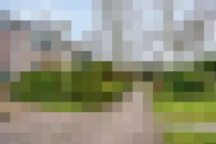 Sprikkenveen 19 Vries thumbnail 60