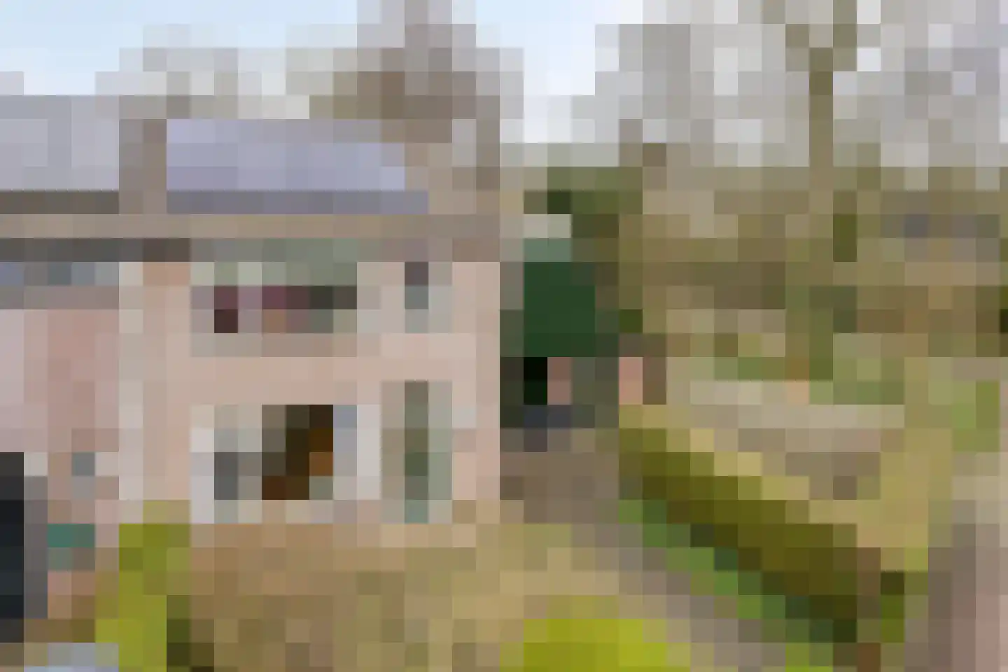 Sprikkenveen 19 Vries thumbnail 63