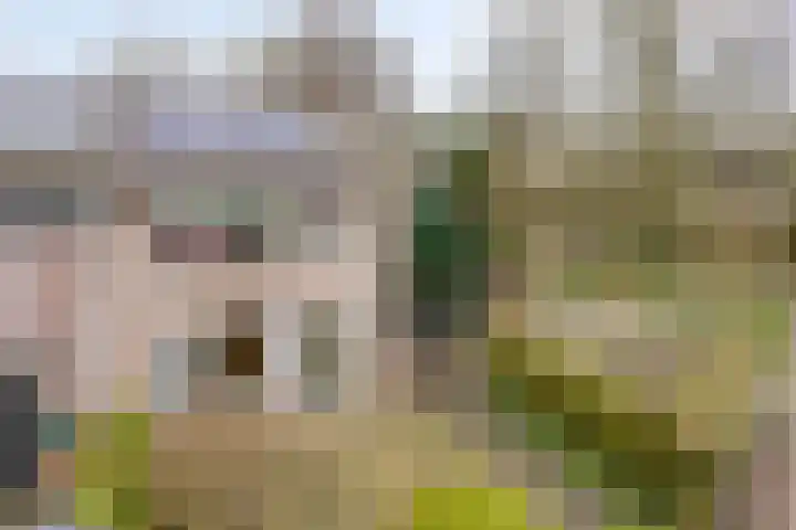 Sprikkenveen 19 Vries thumbnail 63