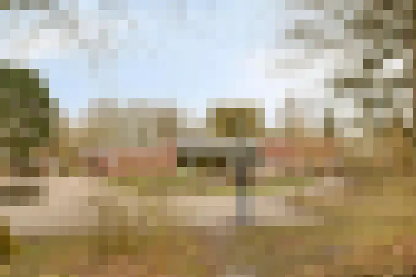 Sprikkenveen 19 Vries thumbnail 65