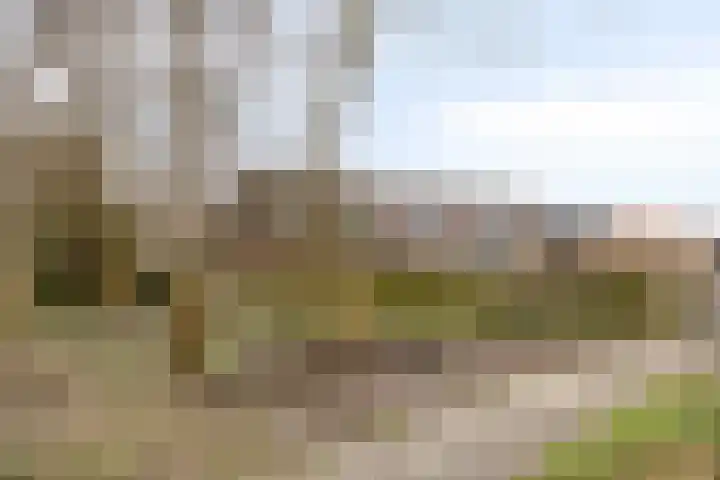 Sprikkenveen 19 Vries thumbnail 66