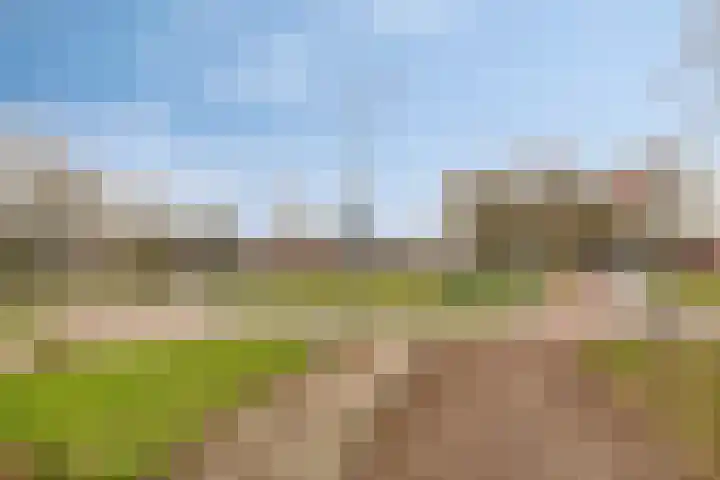 Sprikkenveen 19 Vries thumbnail 67