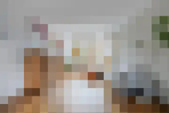 Sprikkenveen 19 Vries thumbnail 8
