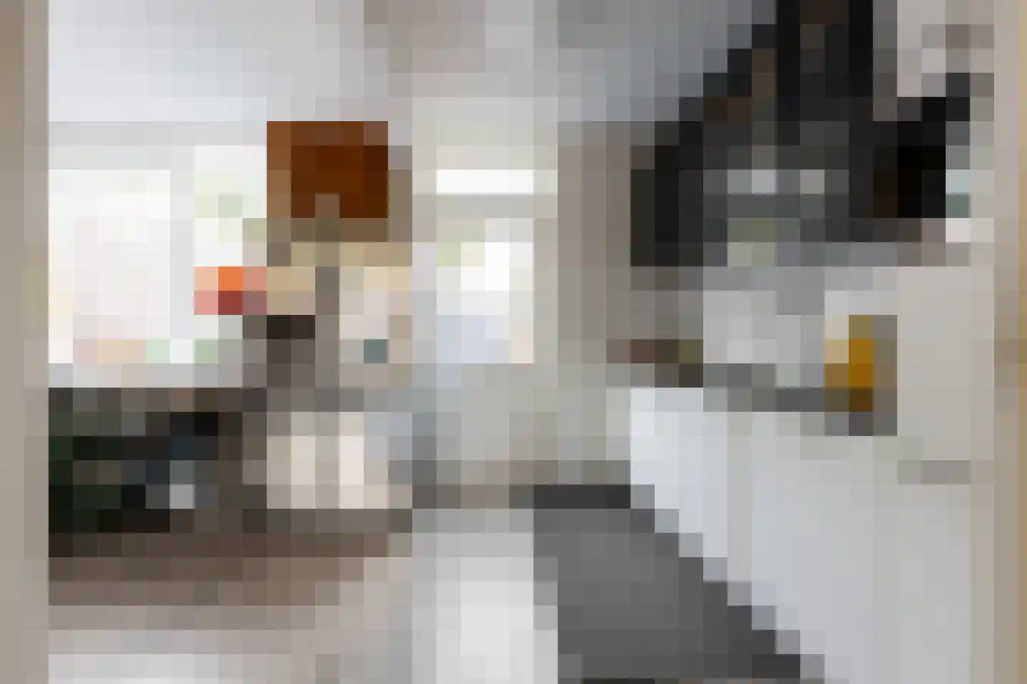 Sprikkenveen 8 Vries thumbnail 14