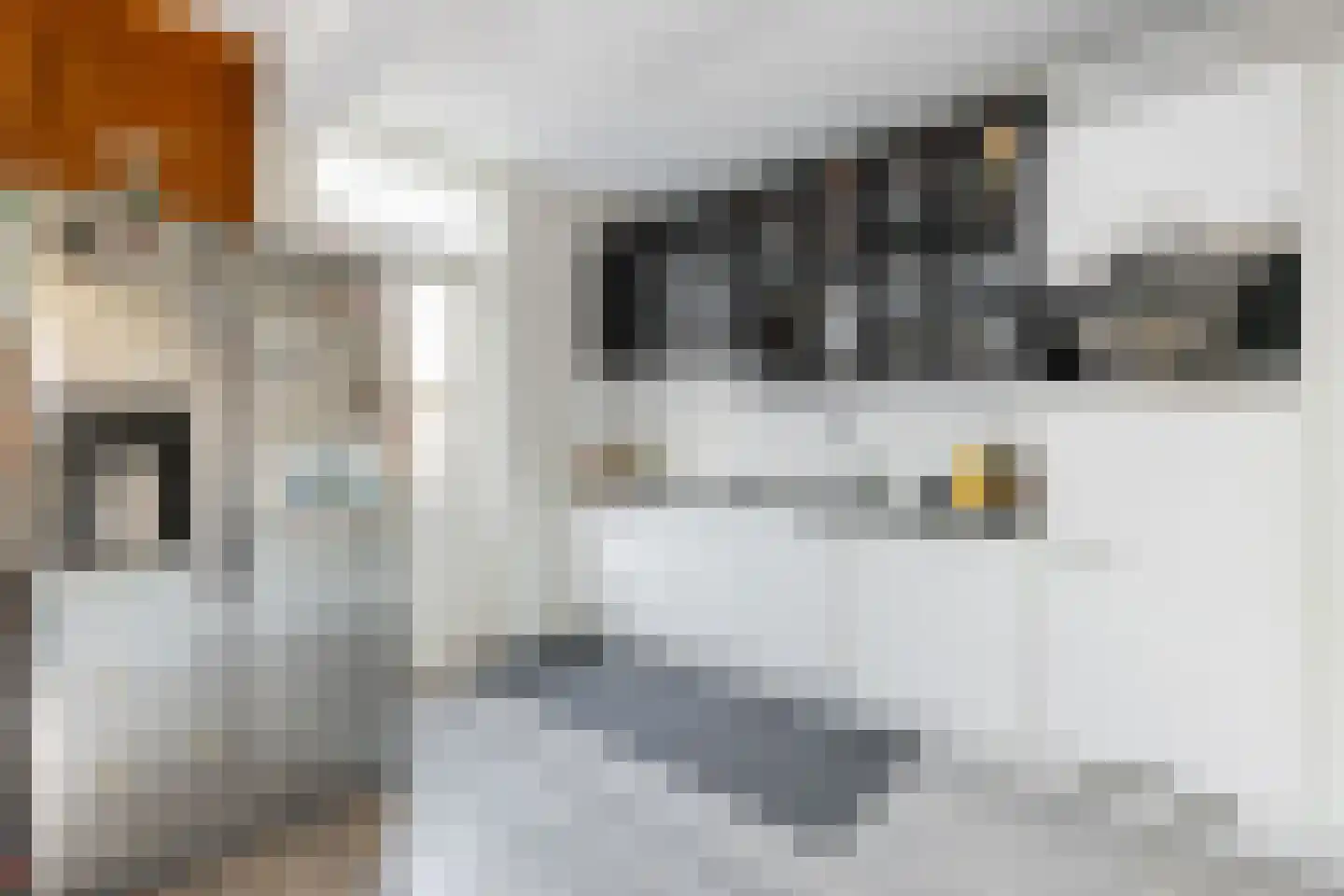 Sprikkenveen 8 Vries thumbnail 15