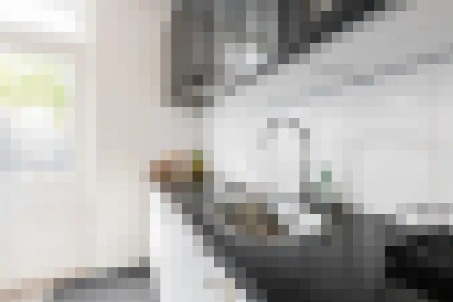 Sprikkenveen 8 Vries thumbnail 16