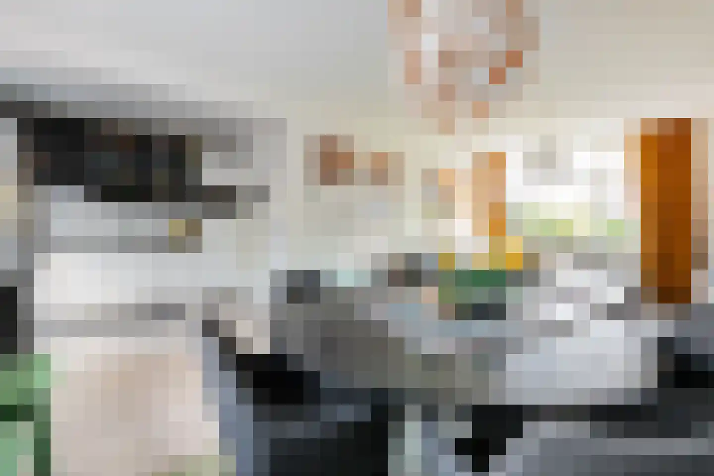 Sprikkenveen 8 Vries thumbnail 5