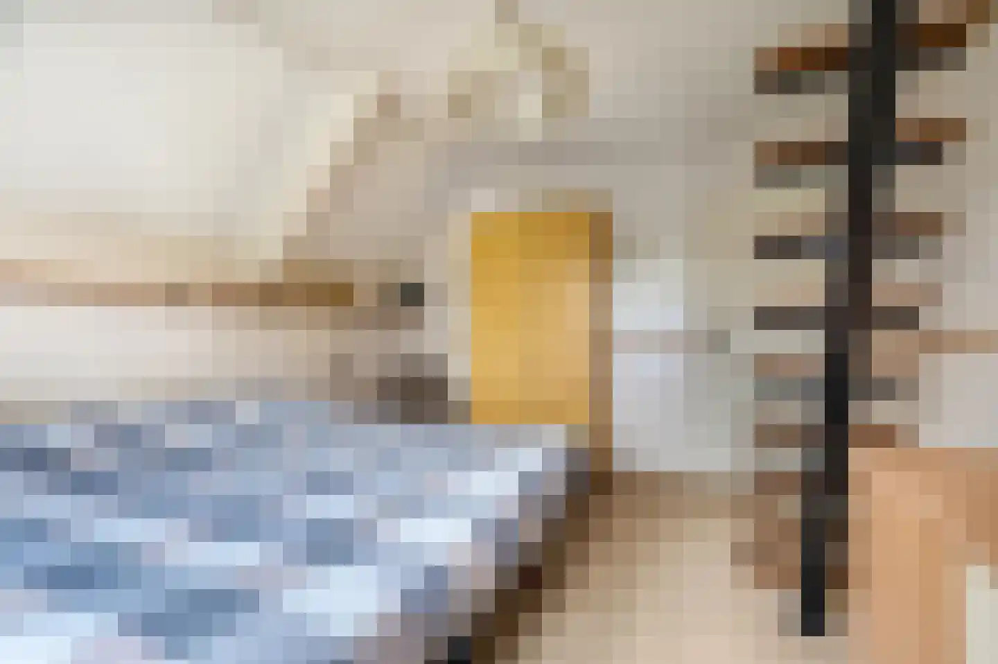 Sprinckelermaat 18 Nijkerk thumbnail 21