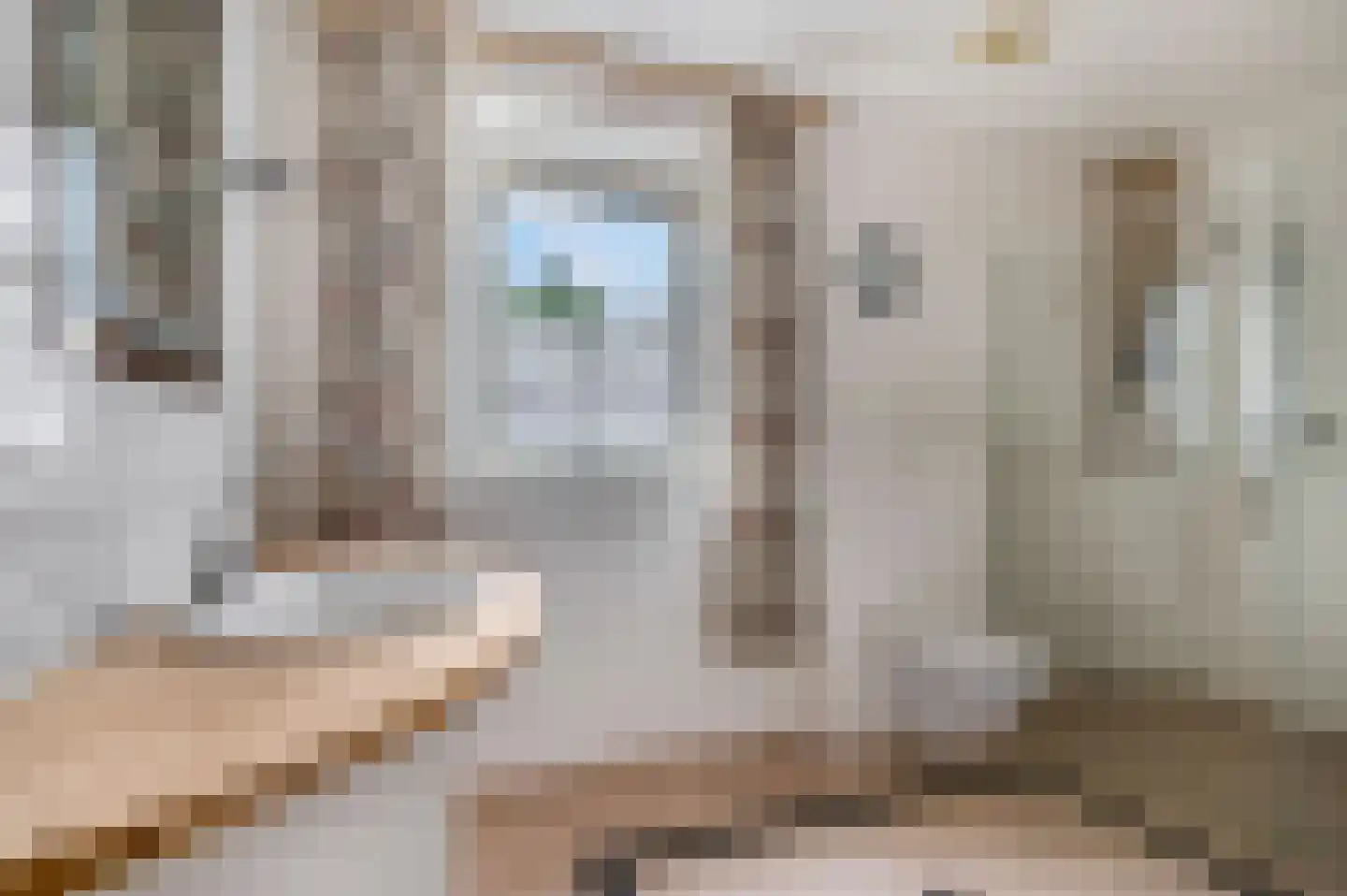 Sprinckelermaat 18 Nijkerk thumbnail 25