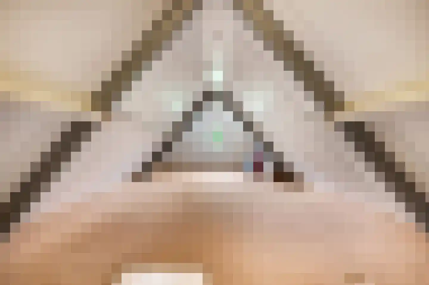 Sprinckelermaat 18 Nijkerk thumbnail 33