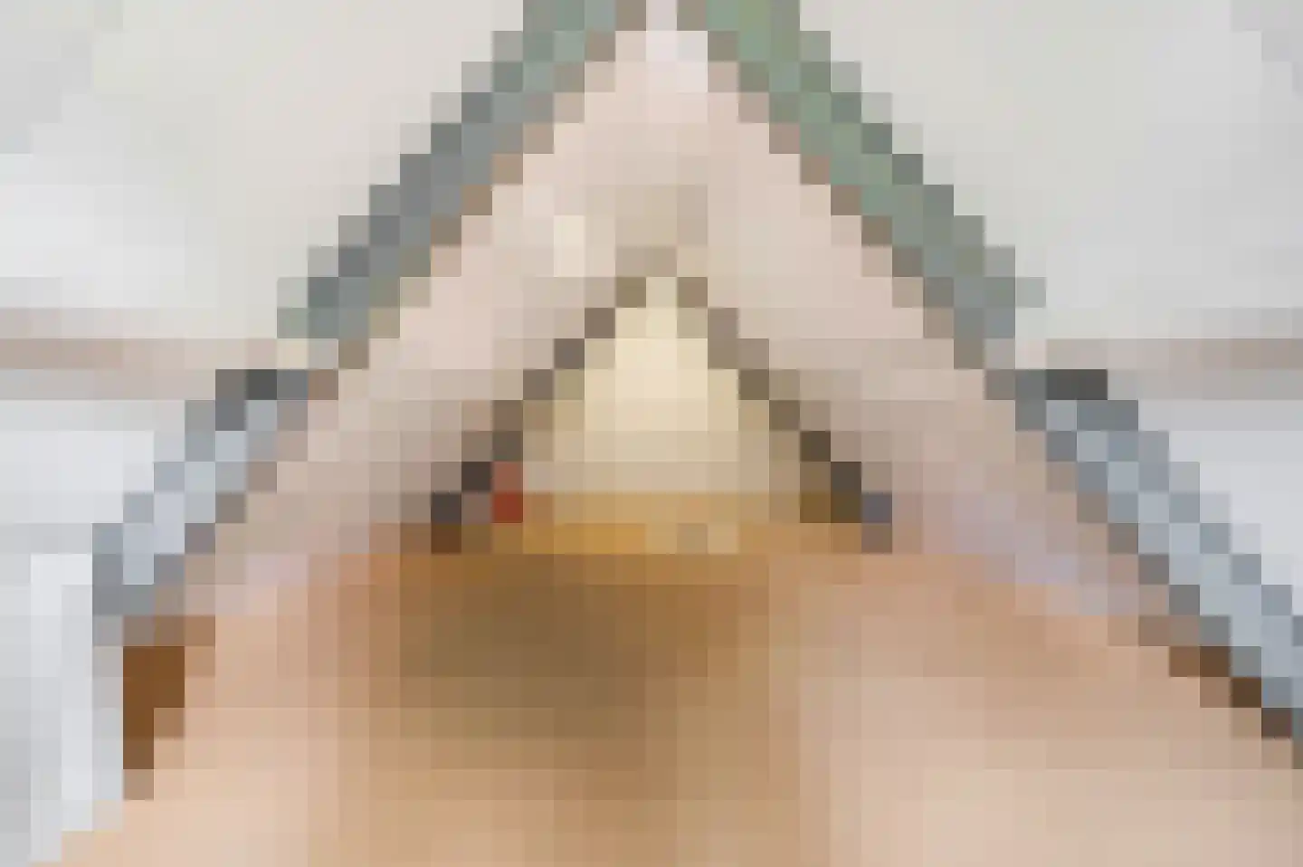 Sprinckelermaat 18 Nijkerk thumbnail 34