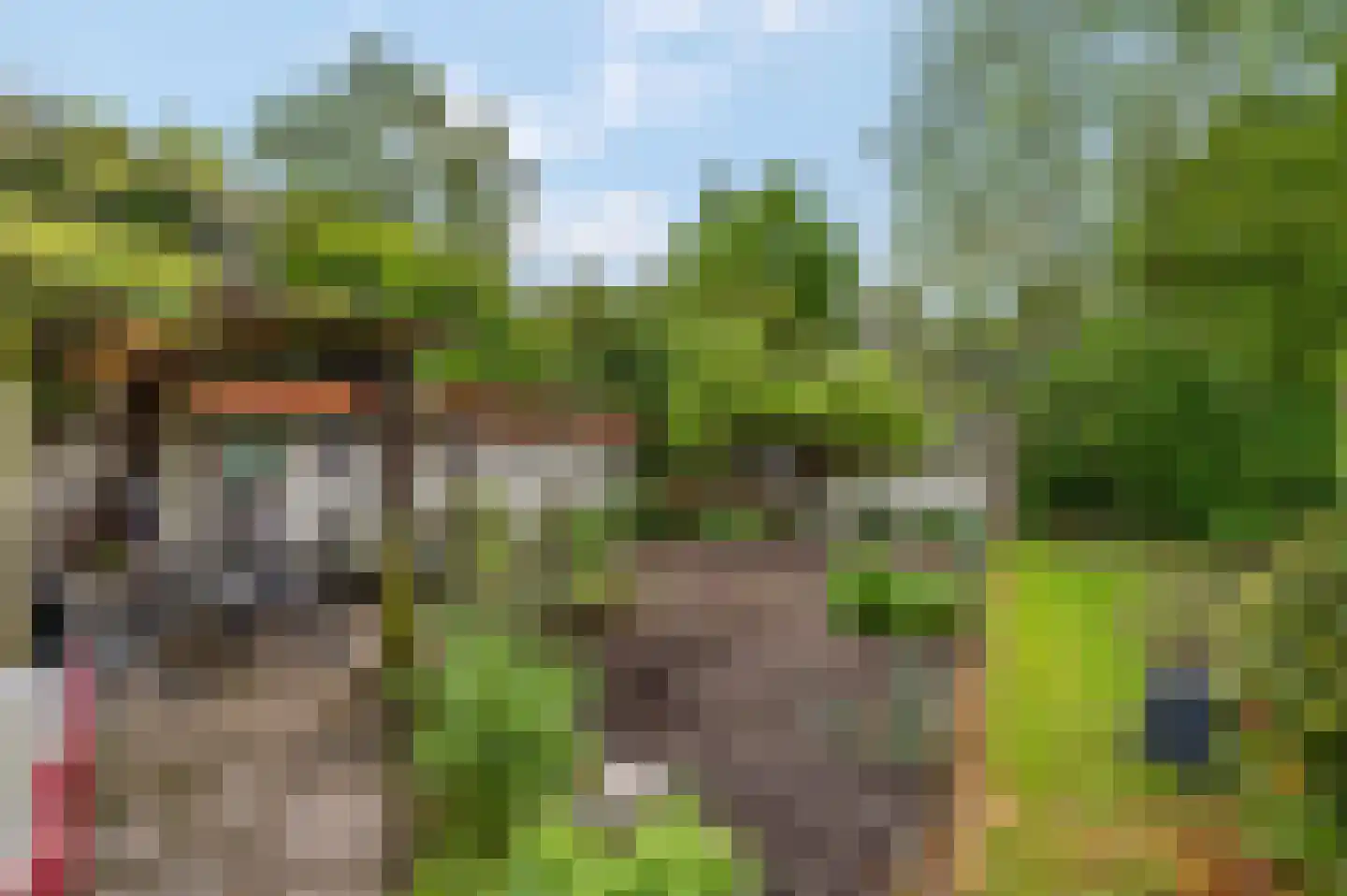 Sprinckelermaat 18 Nijkerk thumbnail 43