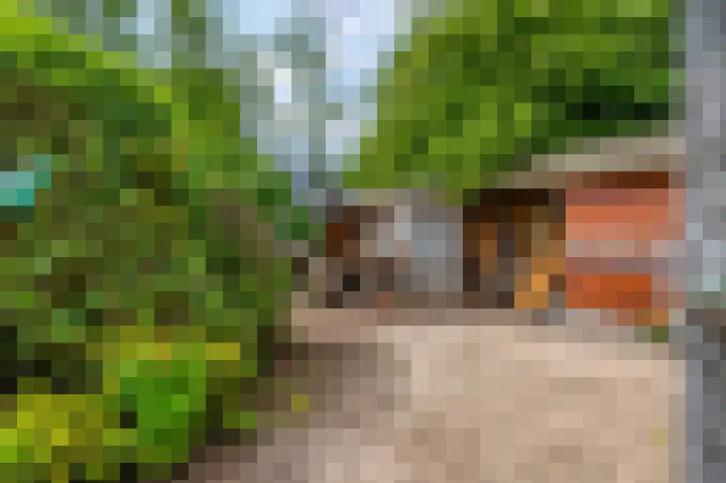 Sprinckelermaat 18 Nijkerk thumbnail 45