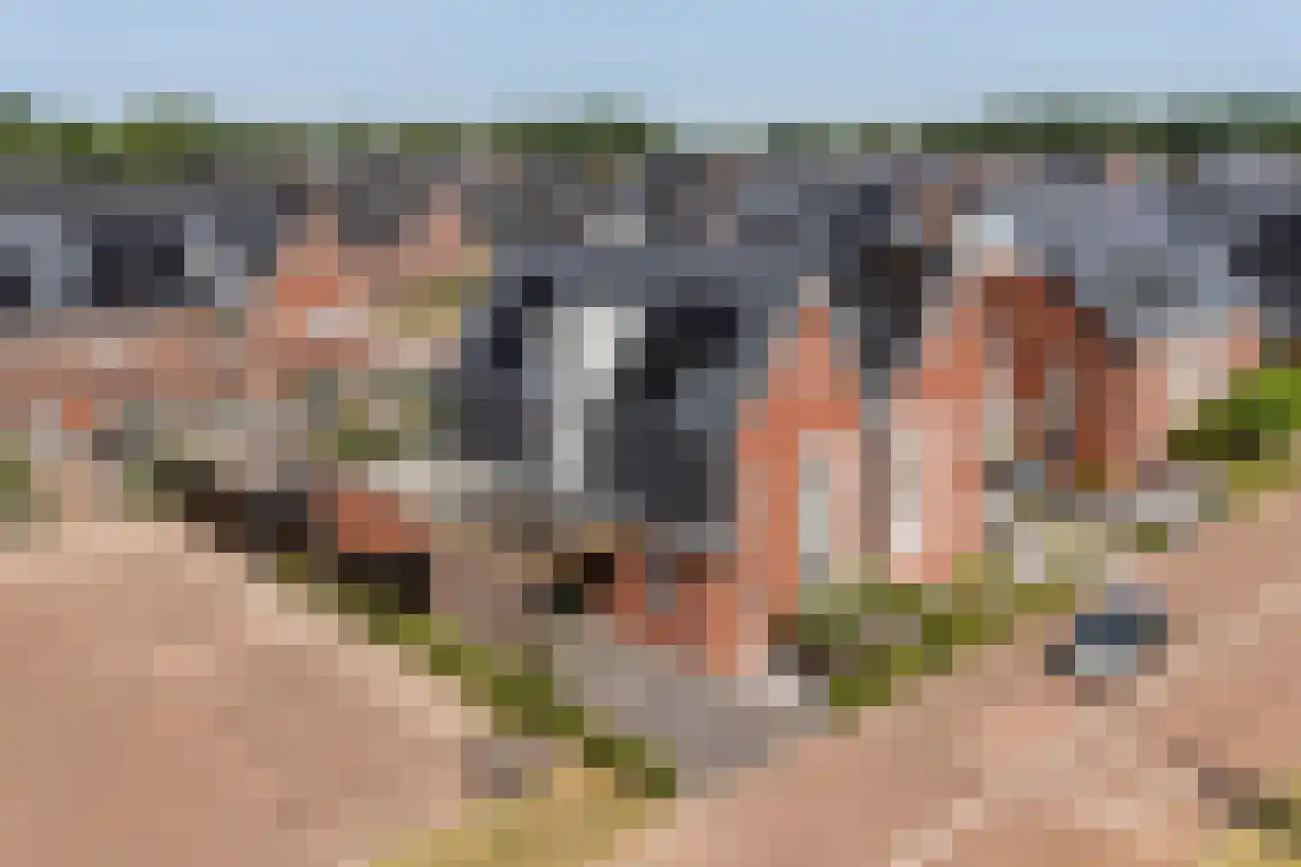 Springendal 11 Ede thumbnail 63