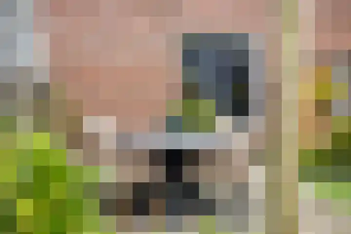 Springendalhoek 22 Enschede thumbnail 33