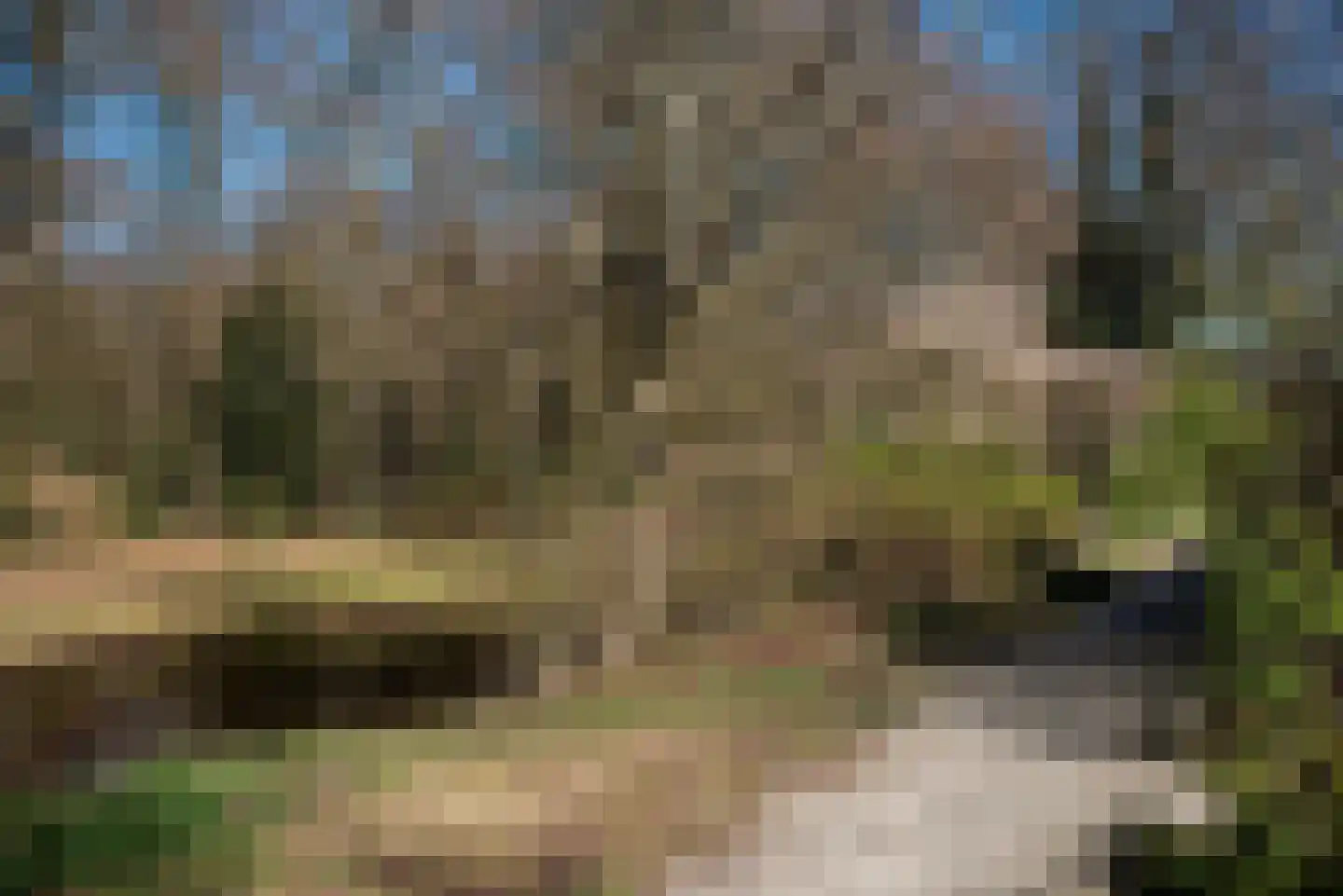 Springendalhoek 6 Enschede thumbnail 34