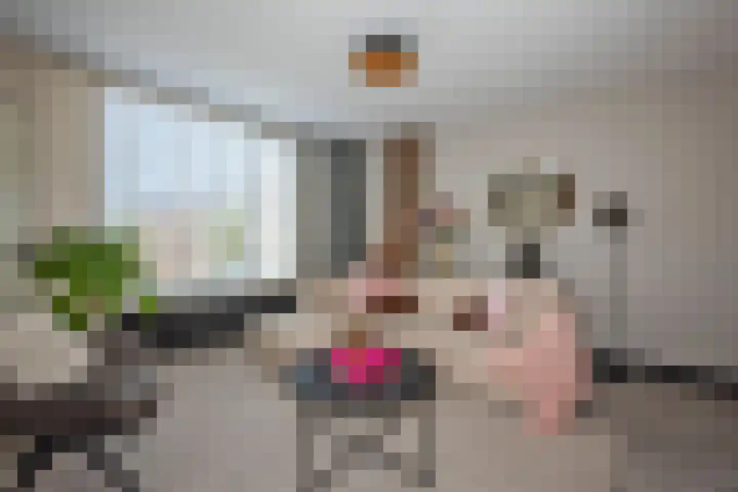 Springendalhoek 6 Enschede thumbnail 5