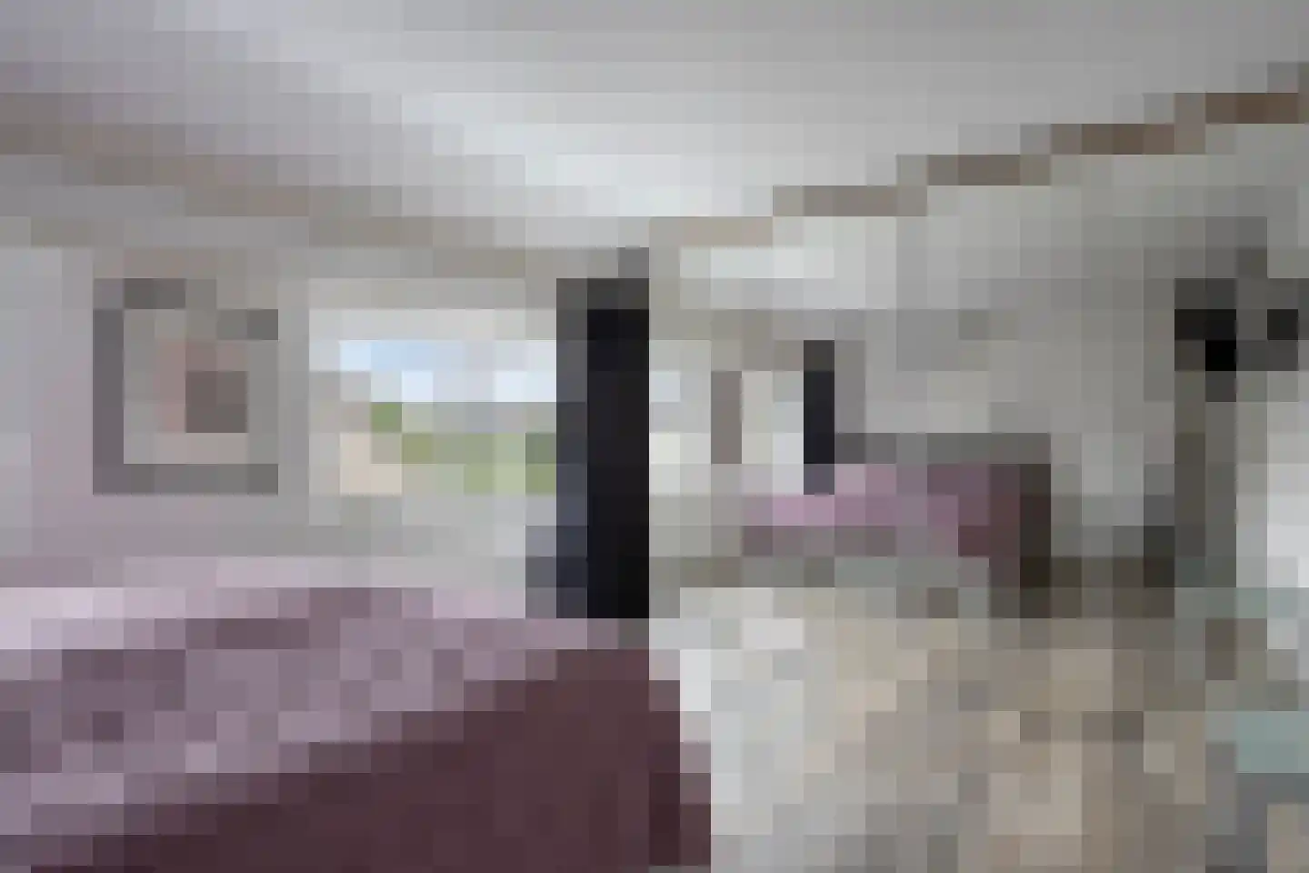 Springendallaan 147 Almere thumbnail 22