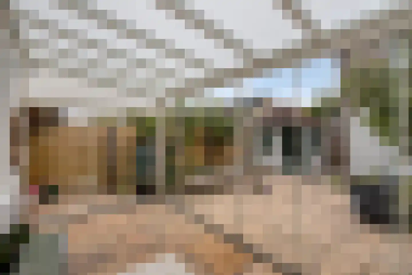 Springendallaan 147 Almere thumbnail 32