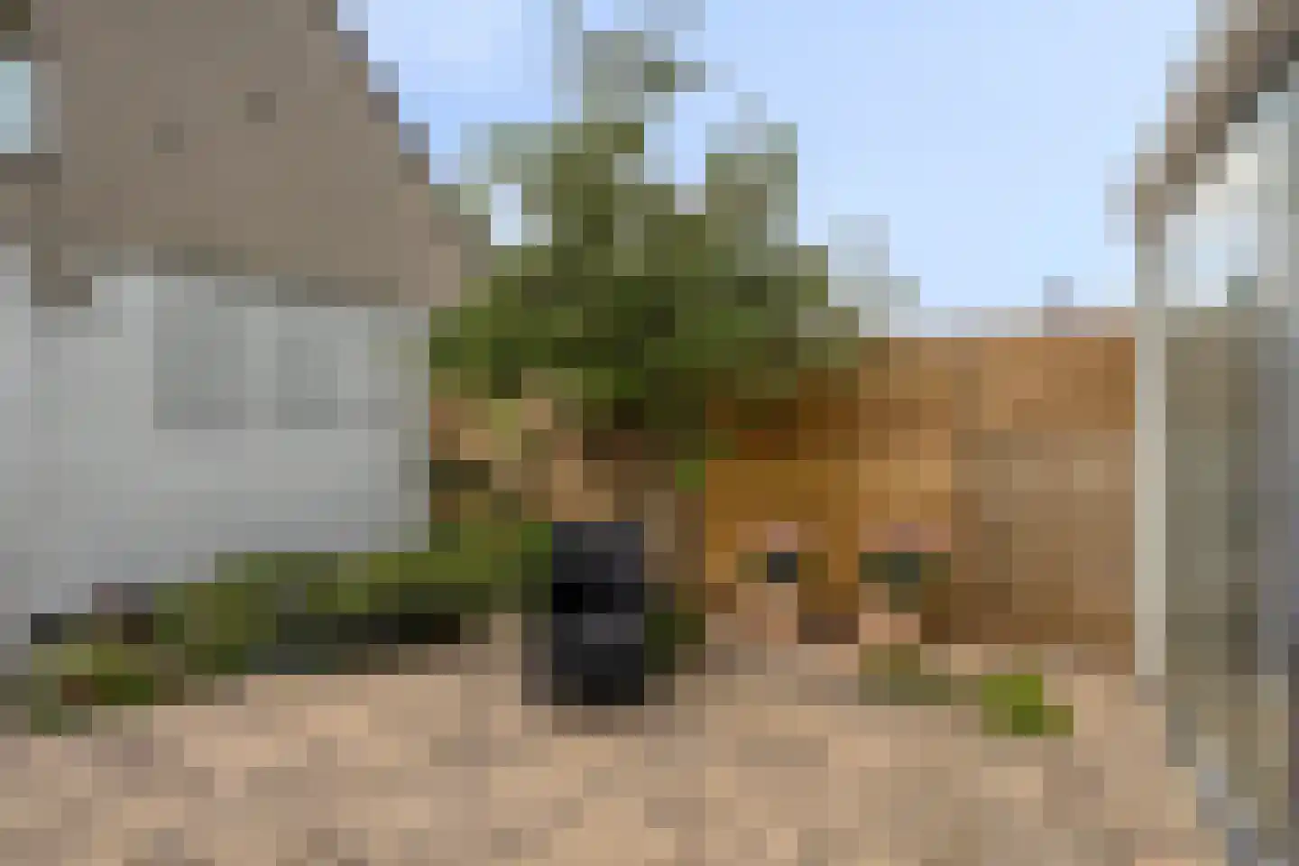 Springendallaan 147 Almere thumbnail 34