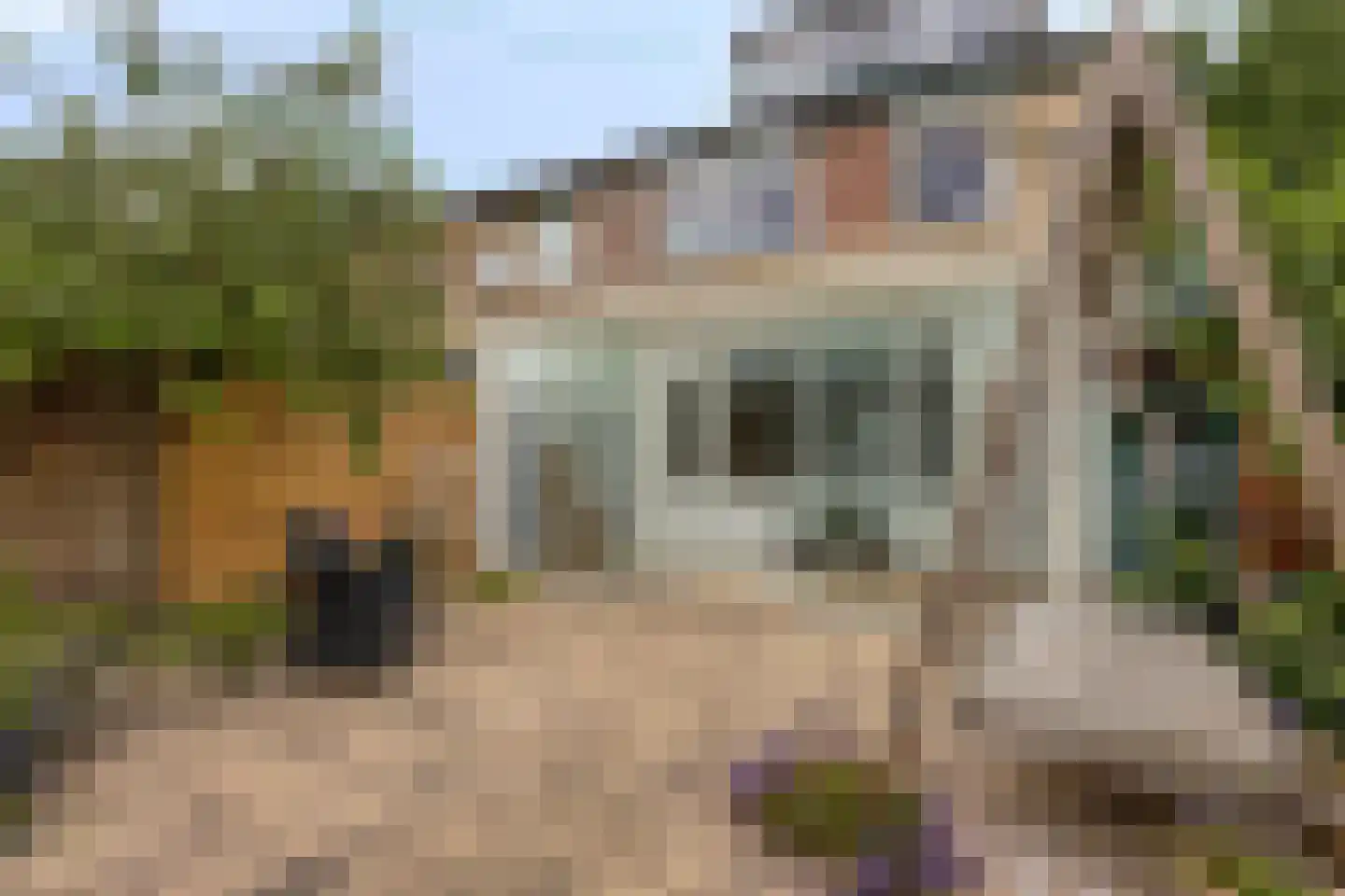 Springendallaan 147 Almere thumbnail 37