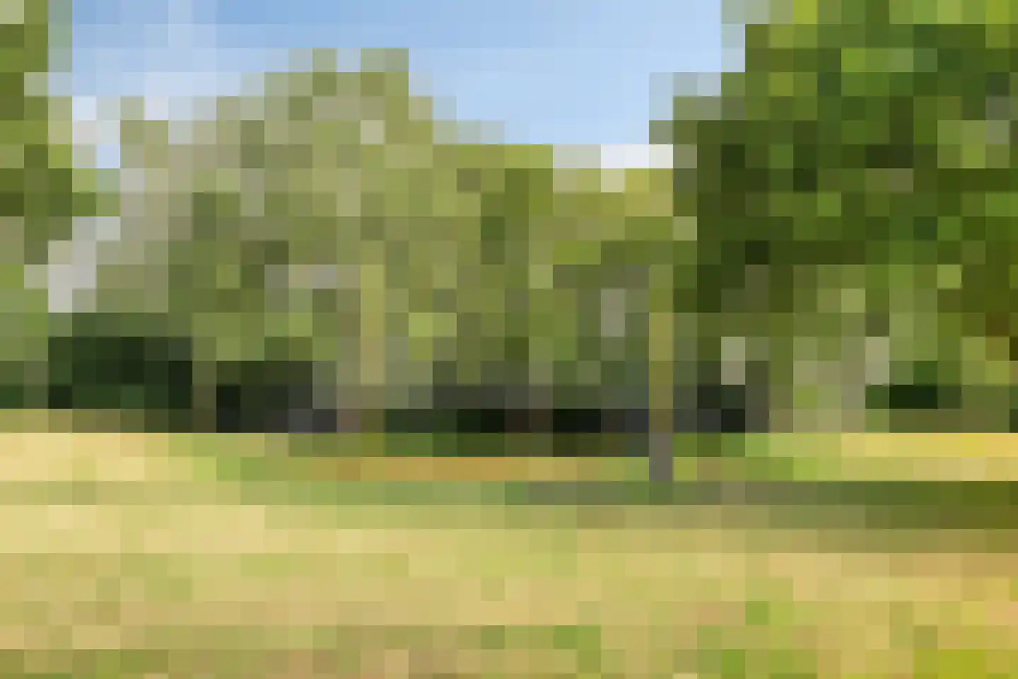 Springendallaan 147 Almere thumbnail 43