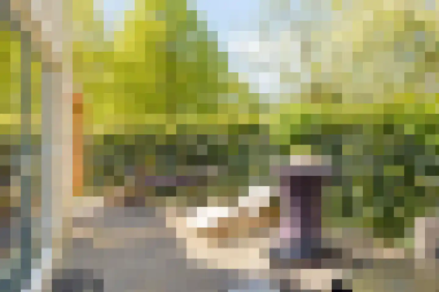 Springendallaan 22 Almere thumbnail 33