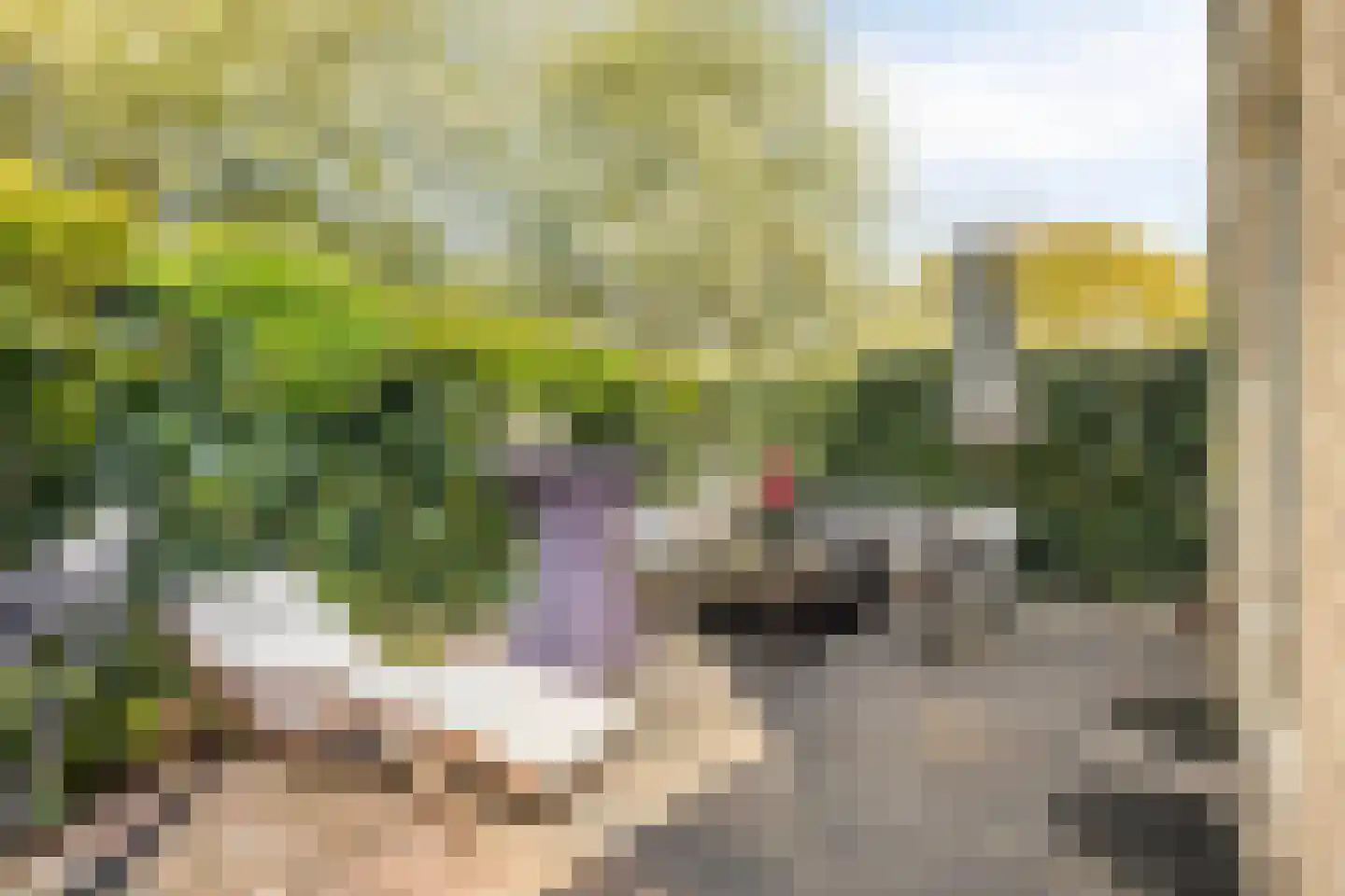 Springendallaan 22 Almere thumbnail 34