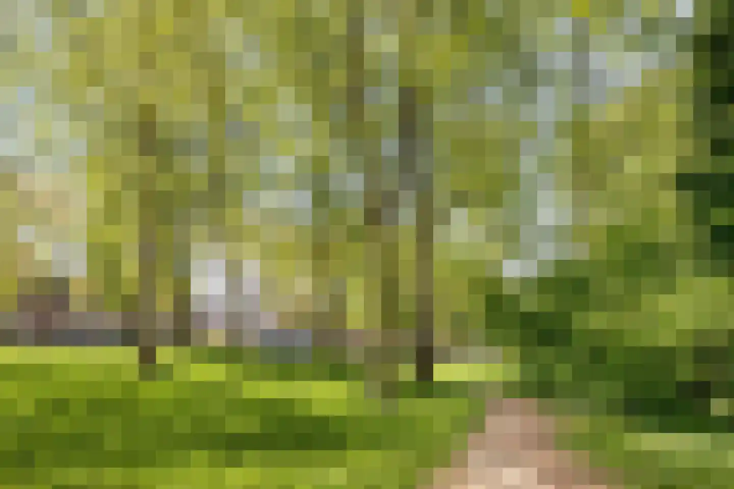 Springendallaan 22 Almere thumbnail 6