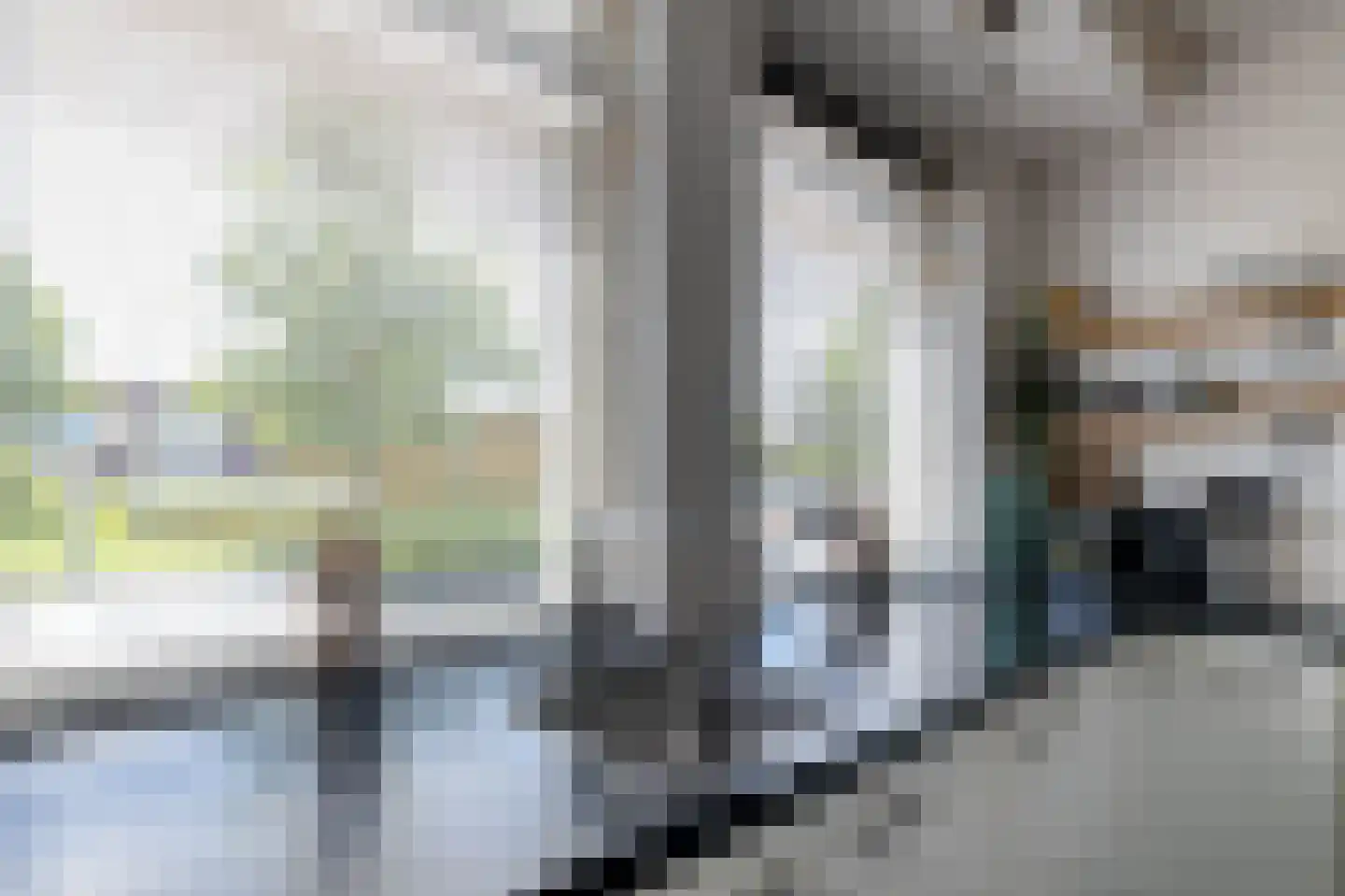 Springerstraat 10 Almelo thumbnail 11