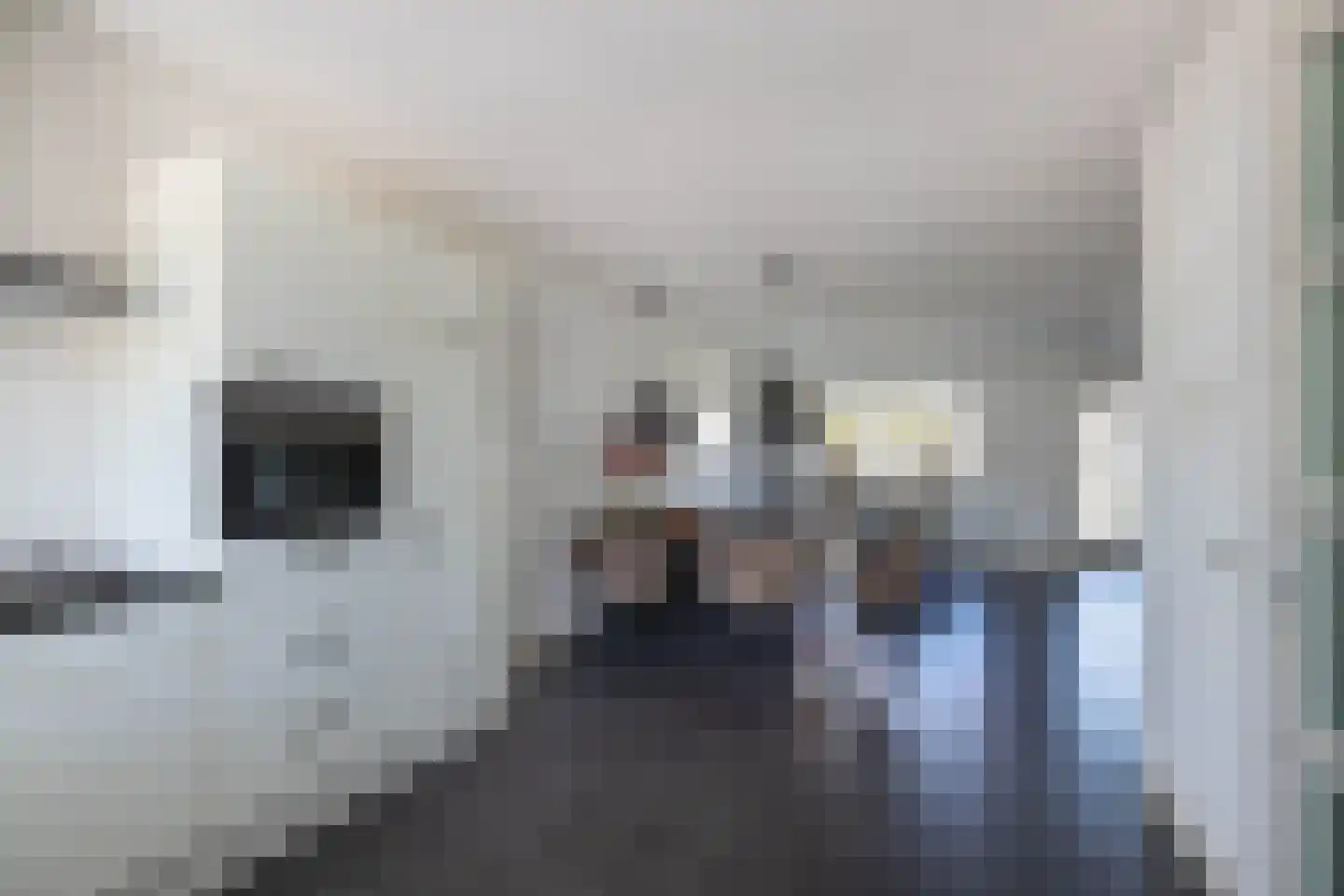 Springerstraat 10 Almelo thumbnail 12