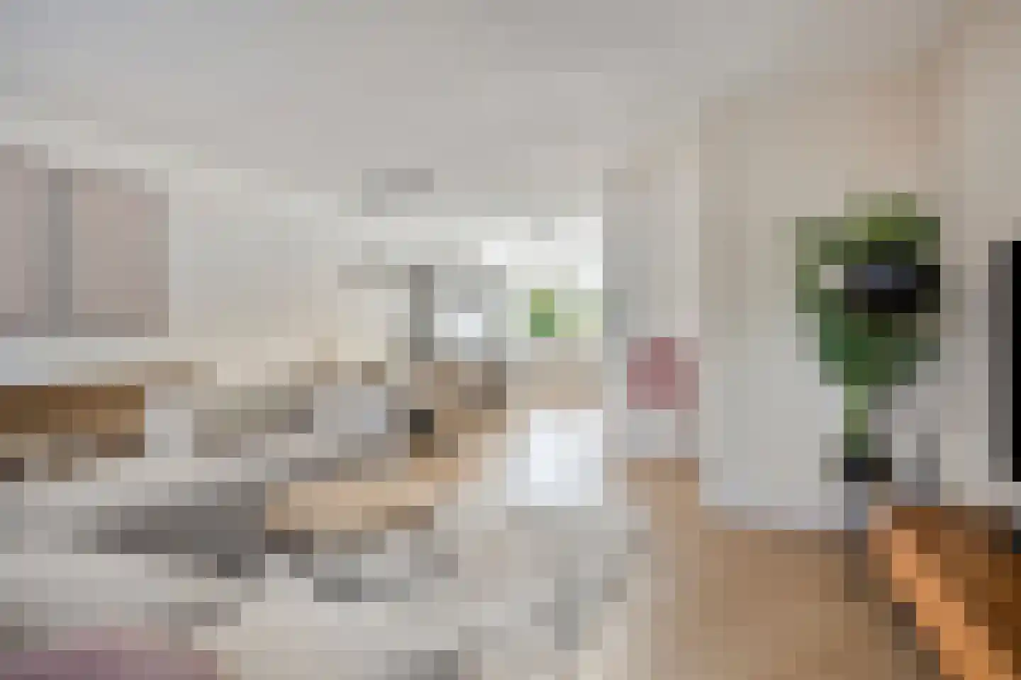 Springerstraat 24 Almelo thumbnail 7