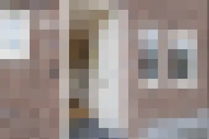 Springerstraat 56 Almelo thumbnail 5
