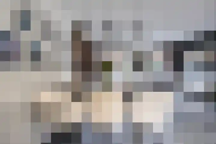 Springerstraat 6 Almelo thumbnail 10