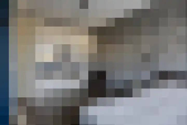 Springerstraat 6 Almelo thumbnail 22