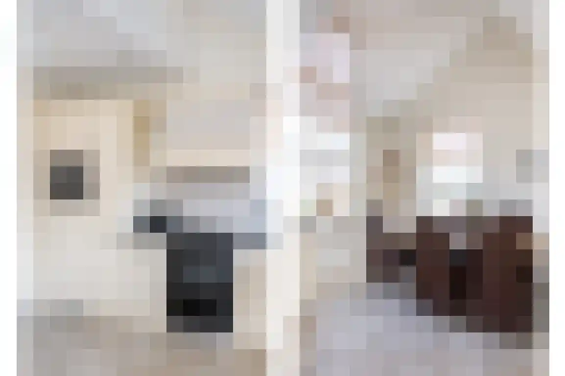 Springert 4 Ouddorp thumbnail 11