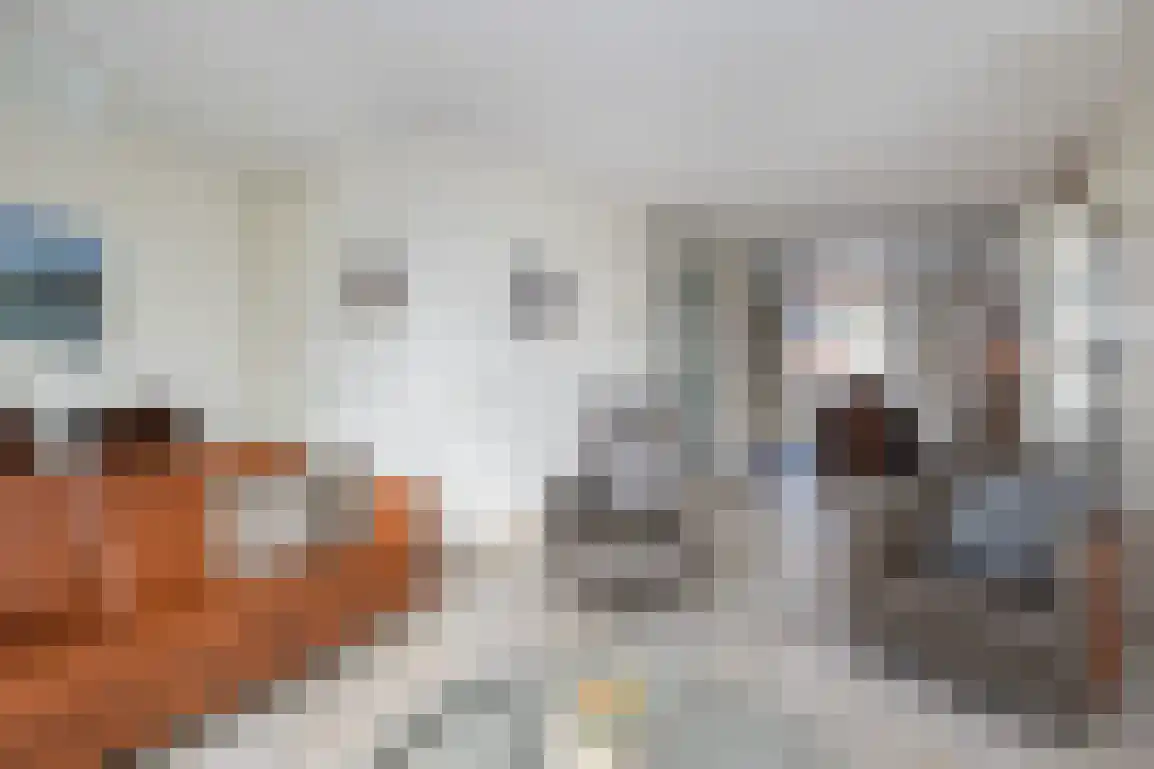 Springert 4 Ouddorp thumbnail 14