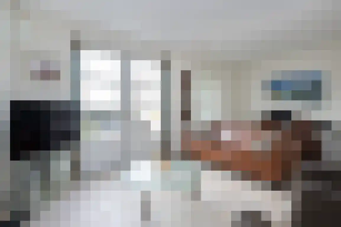 Springert 4 Ouddorp thumbnail 15