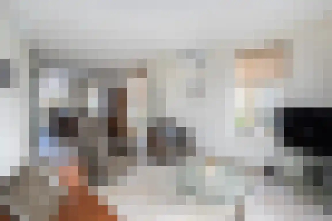 Springert 4 Ouddorp thumbnail 18