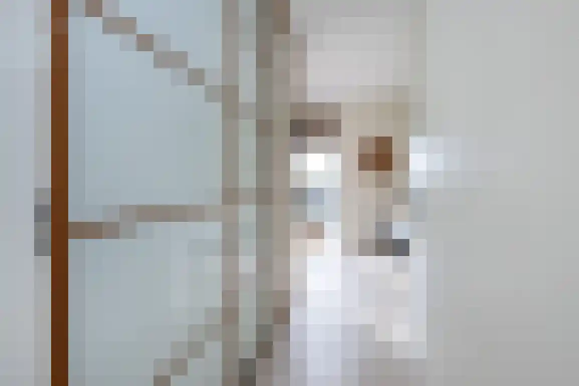 Springert 4 Ouddorp thumbnail 21