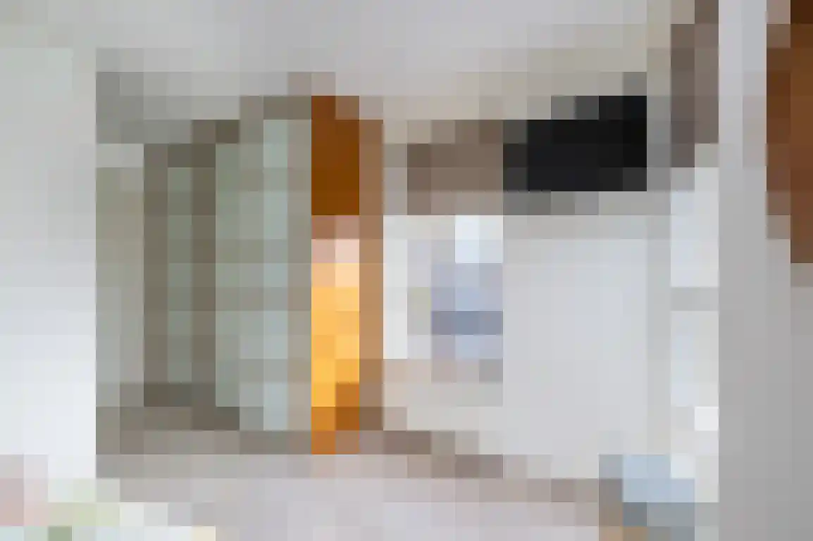 Springert 4 Ouddorp thumbnail 22