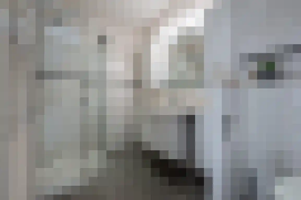 Springert 4 Ouddorp thumbnail 25